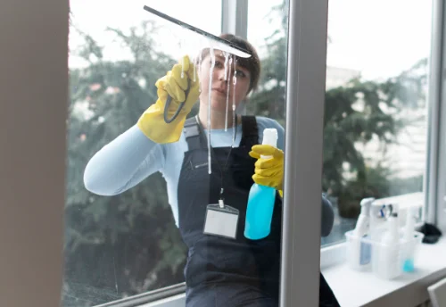 Nettoyage de vitres intérieures et extérieures à Bresnay